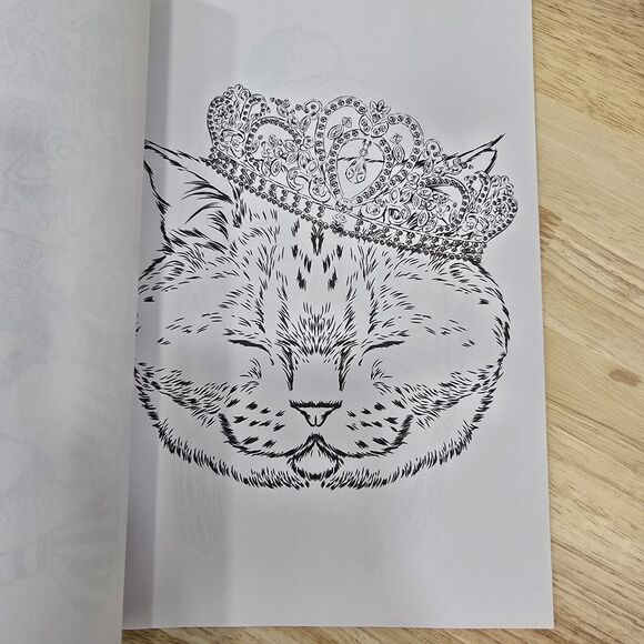 Cats with Hats For Adults Coloring Book For A Purrfect Day - Picture 4 of 6